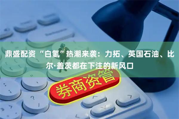 鼎盛配资 “白氢”热潮来袭：力拓、英国石油、比尔·盖茨都在下注的新风口
