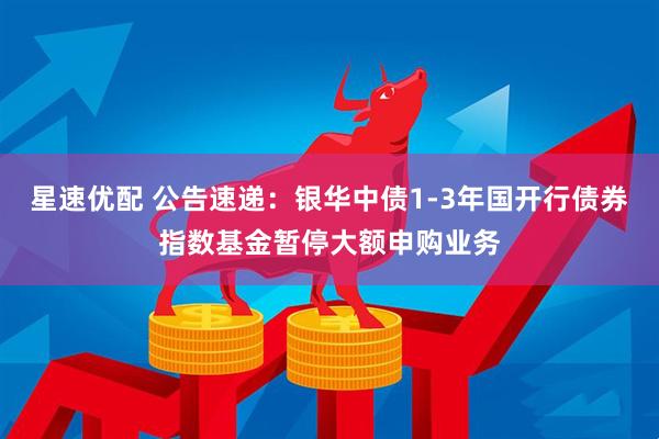 星速优配 公告速递：银华中债1-3年国开行债券指数基金暂停大额申购业务