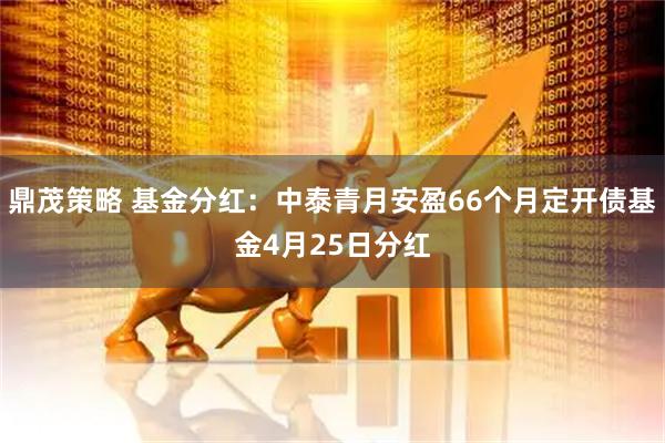 鼎茂策略 基金分红：中泰青月安盈66个月定开债基金4月25日分红
