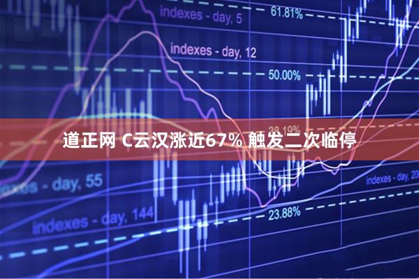 道正网 C云汉涨近67% 触发二次临停