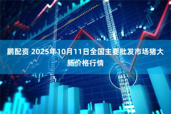 鹏配资 2025年10月11日全国主要批发市场猪大肠价格行情