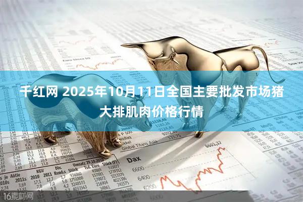 千红网 2025年10月11日全国主要批发市场猪大排肌肉价格行情