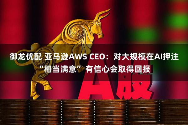 御龙优配 亚马逊AWS CEO:对大规模在AI押注“相当满意” 有信心会取得回报