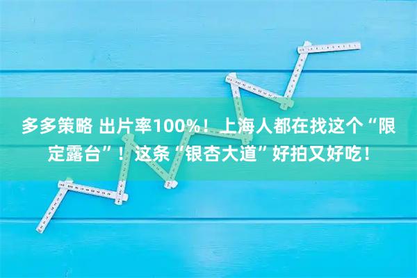多多策略 出片率100%！上海人都在找这个“限定露台”！这条“银杏大道”好拍又好吃！